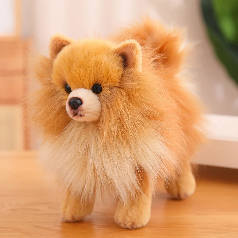 Hochwertiger Plüsch-Pomeranian – Weiche, realistische Hunde-Plüschtiere für Kinder, 30 cm groß