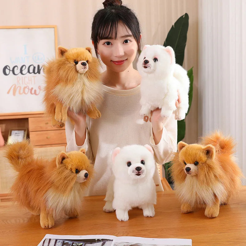 Hochwertiger Plüsch-Pomeranian – Weiche, realistische Hunde-Plüschtiere für Kinder, 30 cm groß