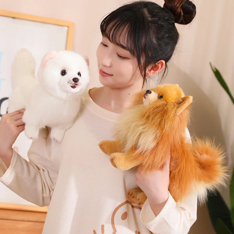 Hochwertiger Plüsch-Pomeranian – Weiche, realistische Hunde-Plüschtiere für Kinder, 30 cm groß